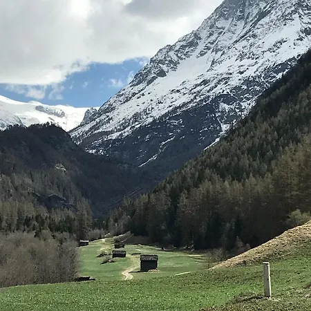 Chalet 12 Cerfs Evolène