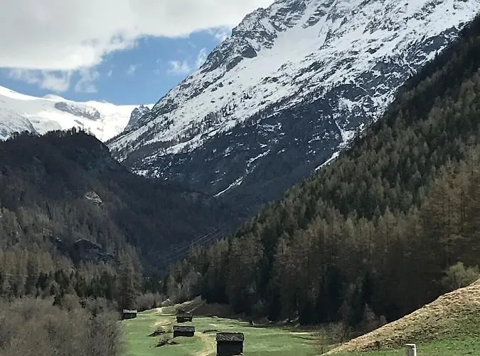 شاليه 12 Cerfs Evolène